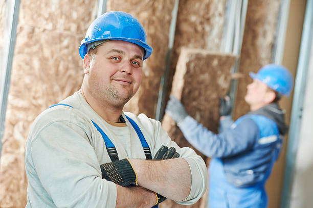 Best Insulation Maintenance and Repair in Seymour, TN